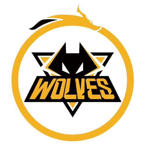 针对揭幕战 针对揭幕战